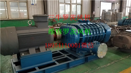 20180815_151937.jpg