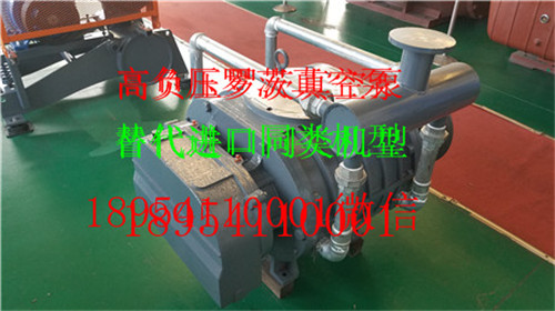 20190216_153022.jpg